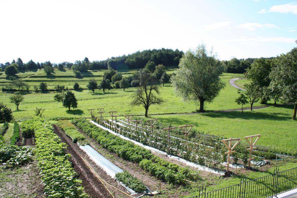 Agriturismo Florandonole Fai della Paganella Oda fotoğraf
